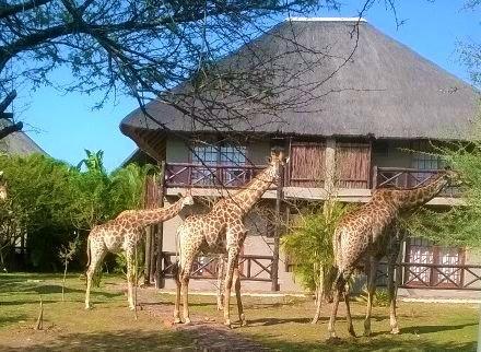 Rhulani Kruger Villa Marloth Park Bagian luar foto